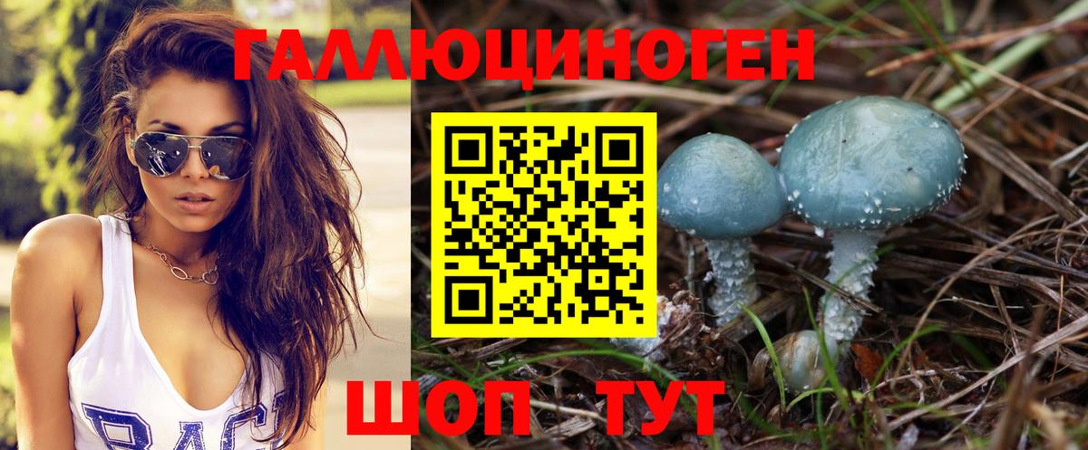 Псилоцибиновые грибы Magic Shrooms  Вход с VPN  Ейск  Псилоцибиновые грибы ЛСД 