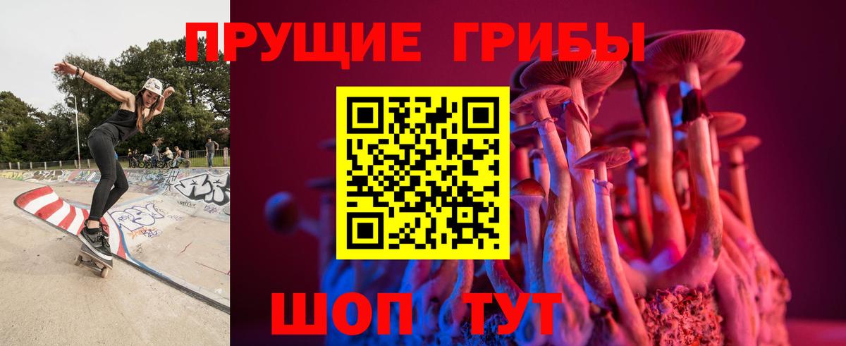 Псилоцибиновые грибы Magic Shrooms Ейск